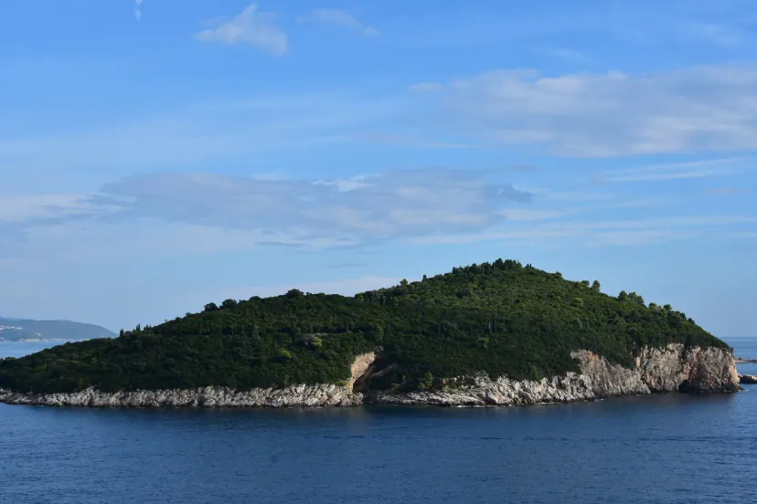 Lokrum and Old Town Swim